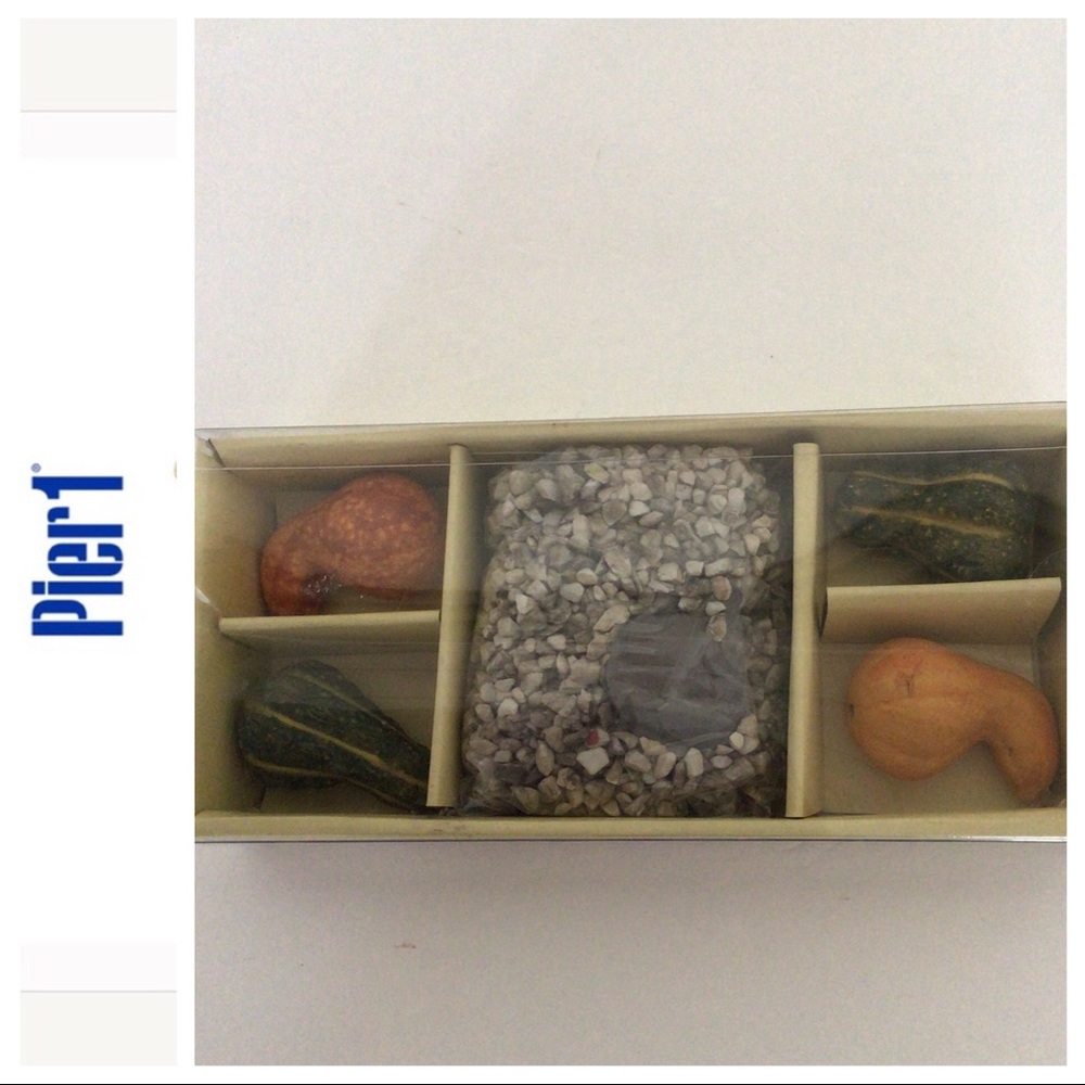 PIER 1 FALL GOURDS DECORATING CANDLESCAPING SET NWT